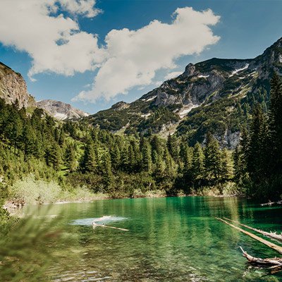 AltaVia Travel