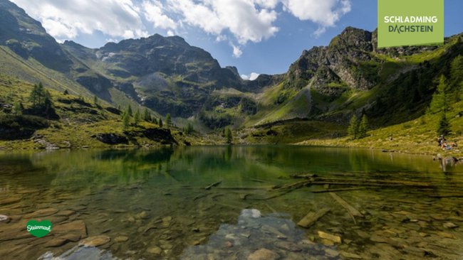 Ein ruhiger Bergsee liegt eingebettet inmitten saftig grüner Almwiesen und majestätischer Gipfel.