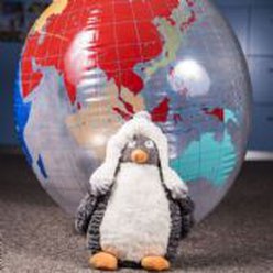 Reisefreund PINGU