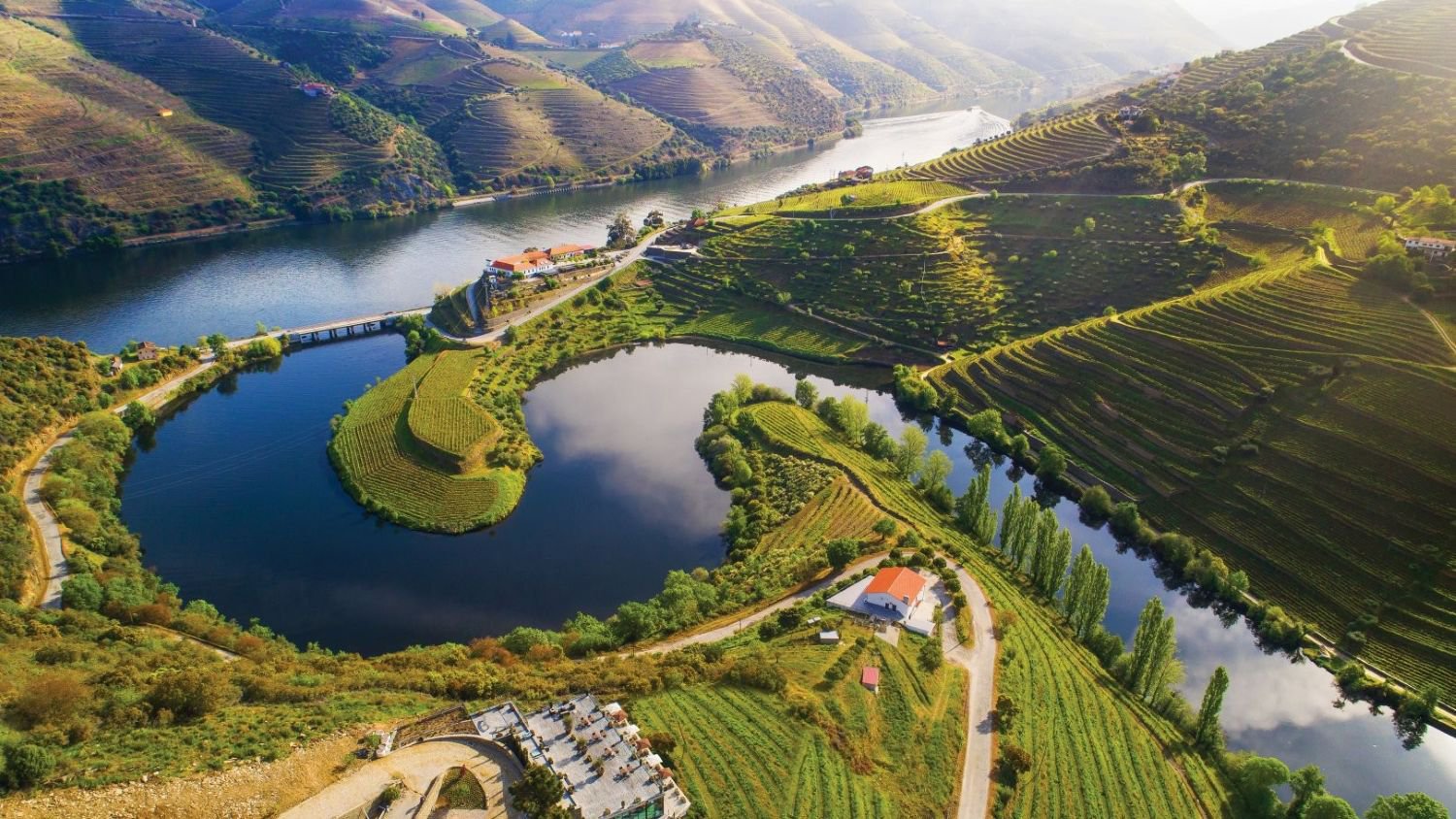 Luftaufnahme des Douro-Tal mit sanften Hügeln, terrassierten Weinbergen und dem geschwungenen Fluss Douro | © Olimar