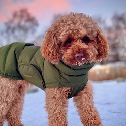 Lilly Feelgood Managerin