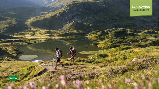 Zwei Wanderer machen eine Wanderung mit atemberaubendem Bergblick, umgeben von einer idyllischen Berglandschaft.