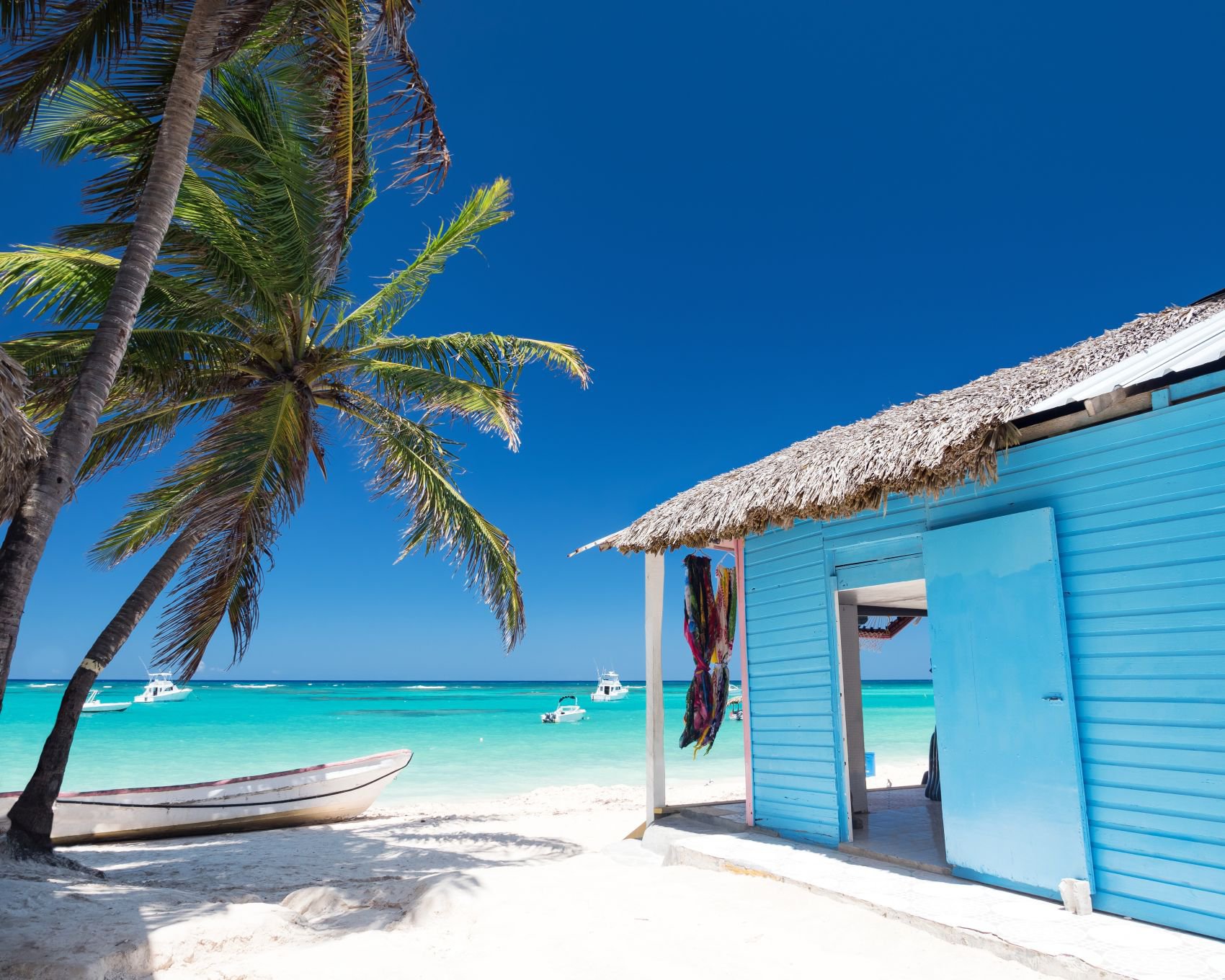 Typisches karibisches Haus in der Nähe eines Strandes am Atlantik mit einer Kokospalme.| © Adobe Stock