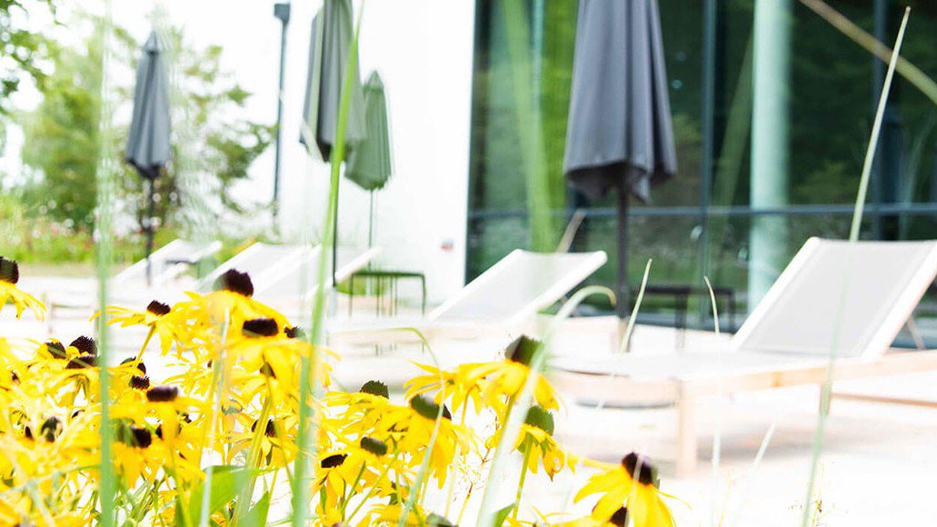 Sonnenliegen im Garten des Marienkron Retreat & Health Resort, im Vordergrund blühende Sonnenblumen | © Marienkron Retreat & Health Resort