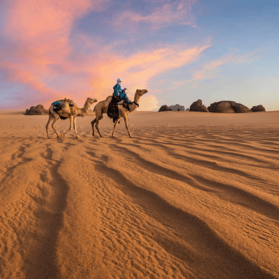 Taiba Tours 