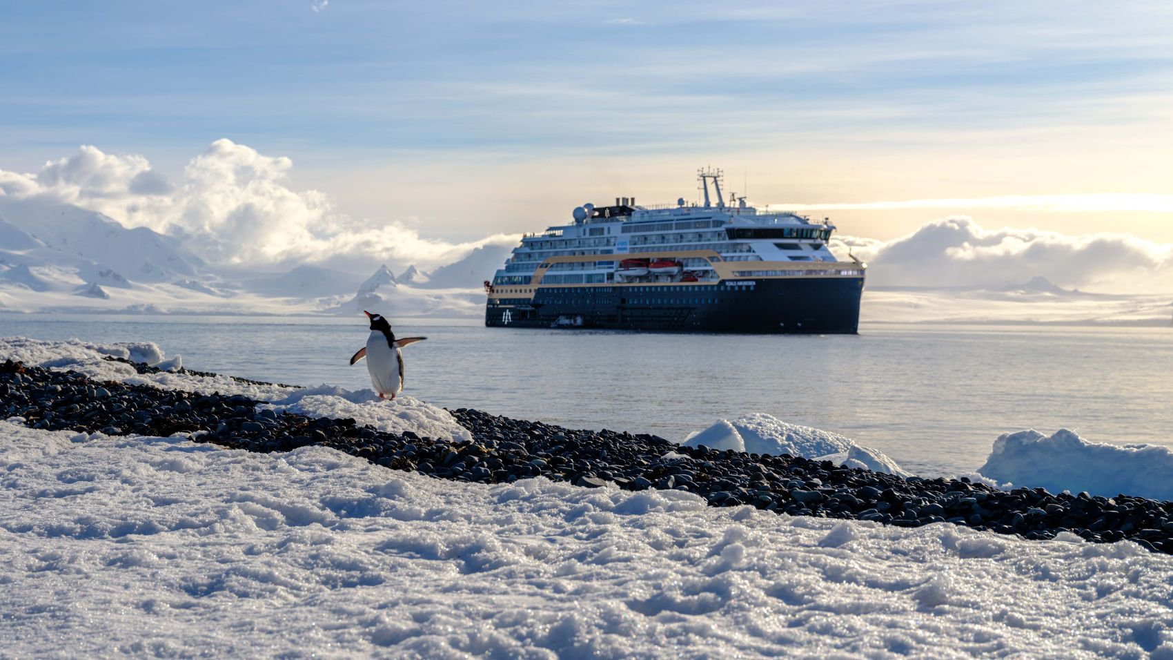 Pinguine stehen am Ufer der Antarktis, während im Hintergrund das Expeditionsschiff MS Roald Amundsen | © HX Expeditions