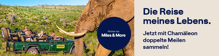 Chamäleon Banner doppelte Meilen Aktion | © Lufthansa City Center