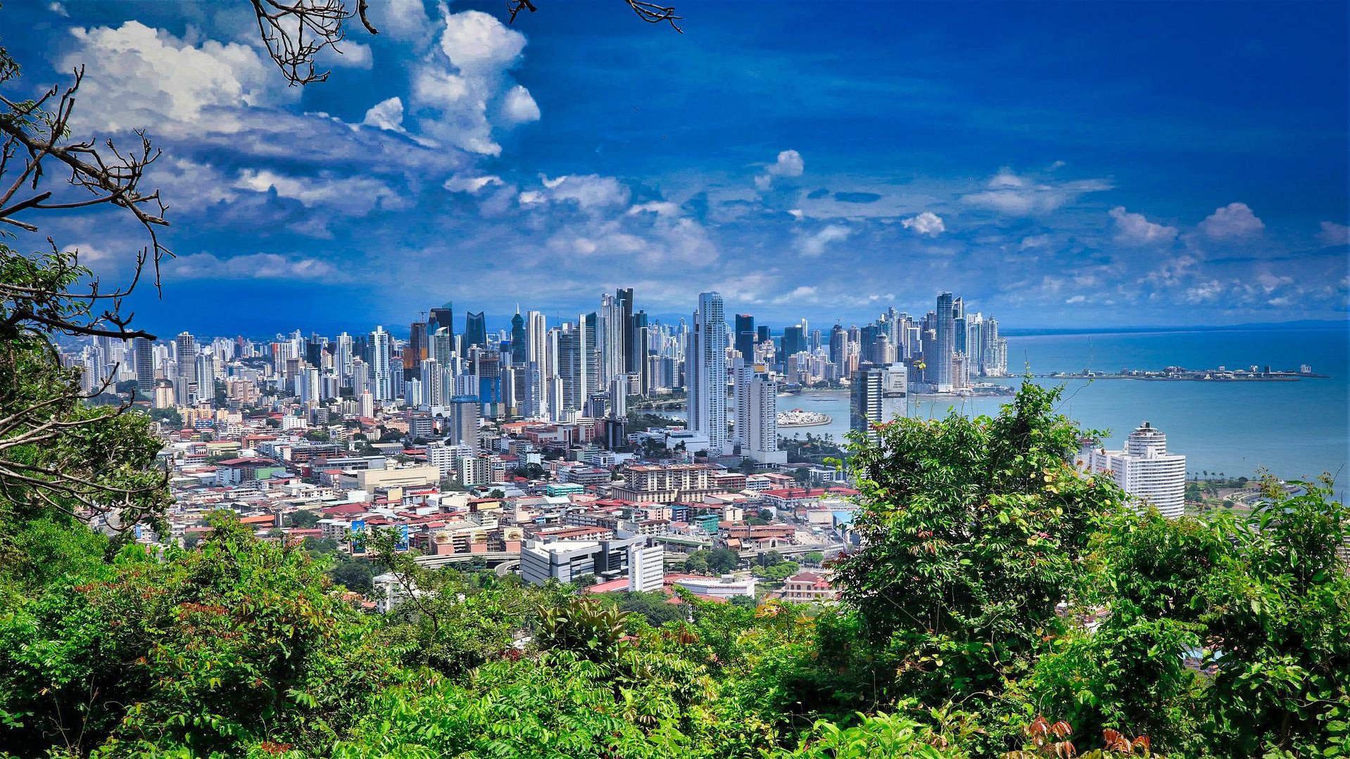 Die Skyline von Panama City mit modernen Hochhäusern und urbaner Landschaft | © Nicko Cruises
