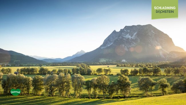 Ein wunderschöner Sommerabend mit Blick auf den imposanten Grimming und die malerische Naturlandschaft.