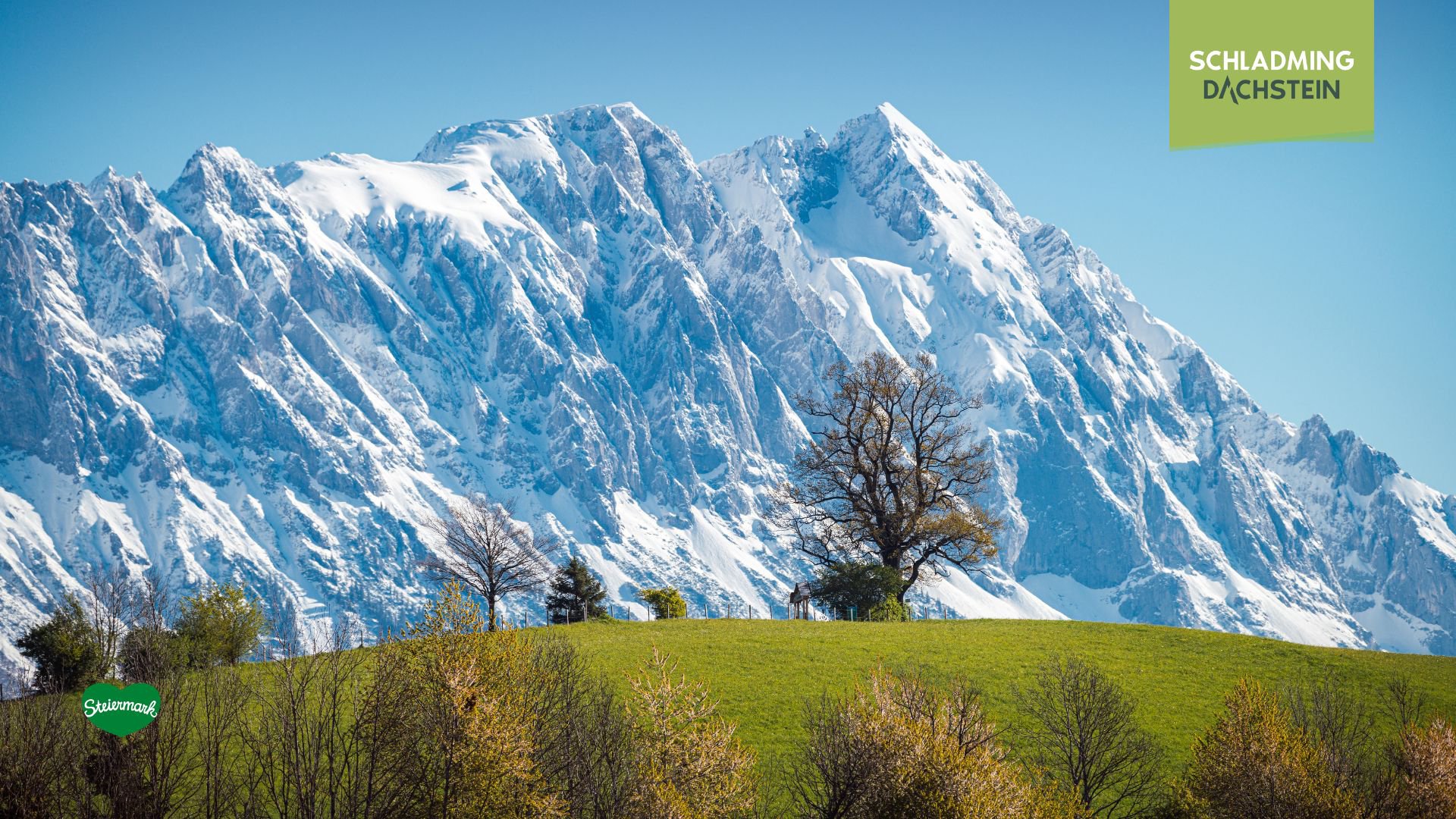 Vorne ist ein grüner Hügel mit einigen Bäumen zu sehen. Im Hintergrund erstreckt sich der Grimming mit seinen schneebedeckten Gipfeln.