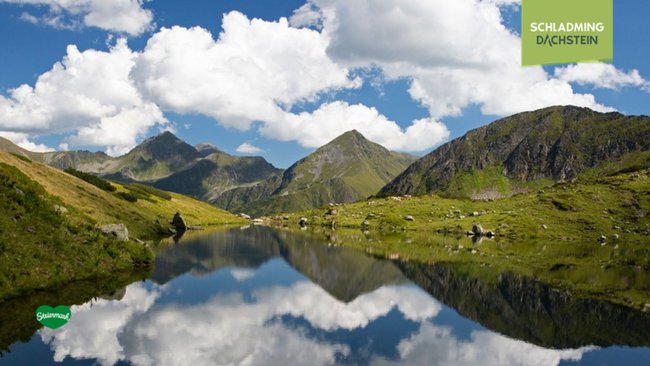 Ein ruhiger Bergsee liegt eingebettet inmitten saftig grüner Almwiesen und majestätischer Gipfel.