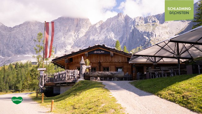Die Brandalm in Ramsau am Dachstein, eingebettet in die idyllische Natur mit Blick auf das beeindruckende Dachsteinmassiv im Hintergrund.
