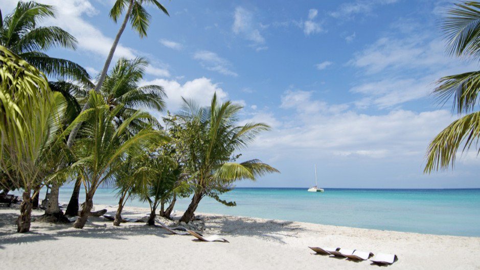Tropischer Karibikstrand mit Palmen, türkisblauem Meer und weißem Sand | © MSC Cruises