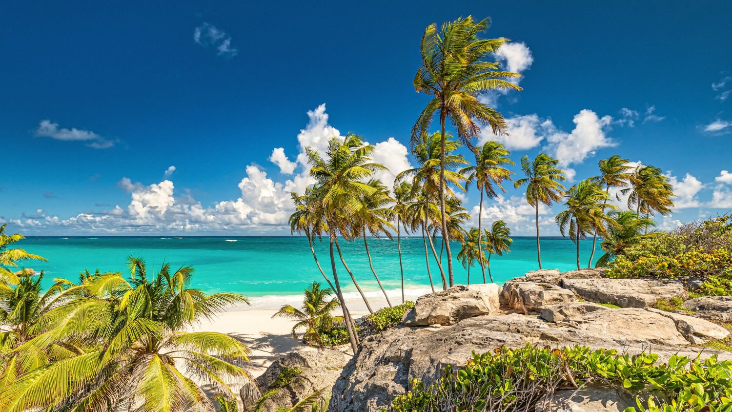 Panoramablick auf das Meer vor blauem Himmel, Bowling Alley Hill, Barbados | © Getty Images 