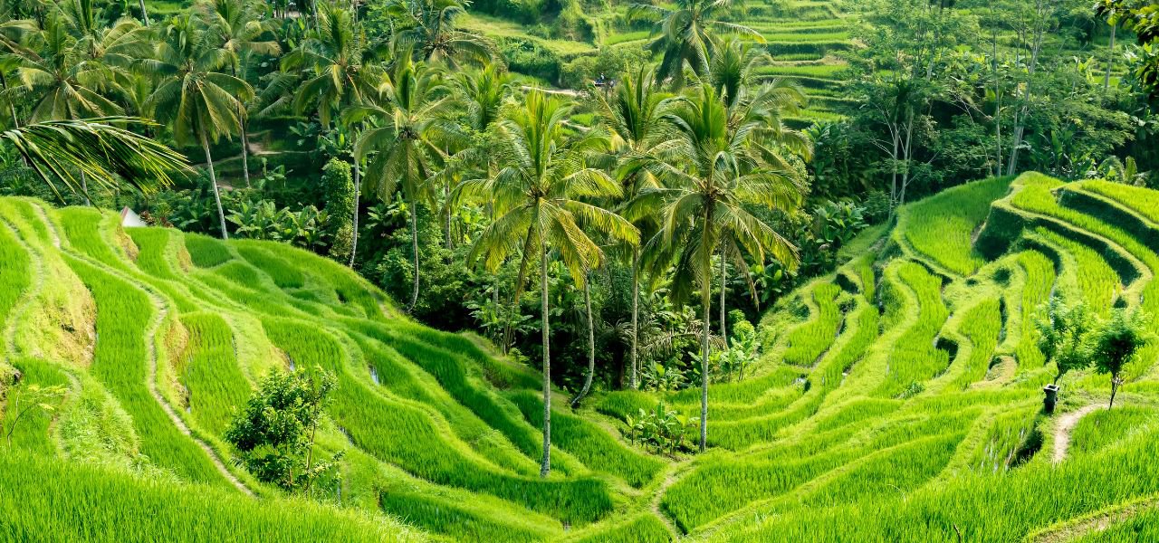 ICS Travel Group Indonesia