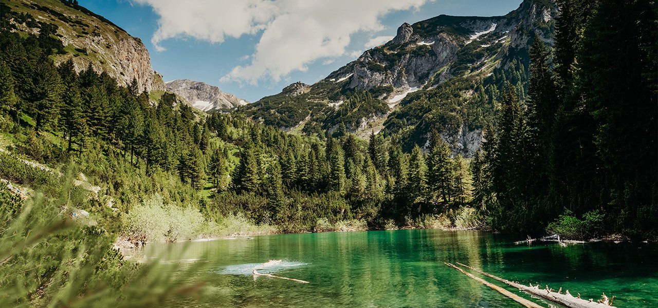 AltaVia Travel