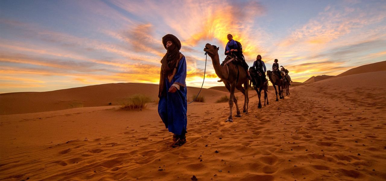 Bicha Travel Company