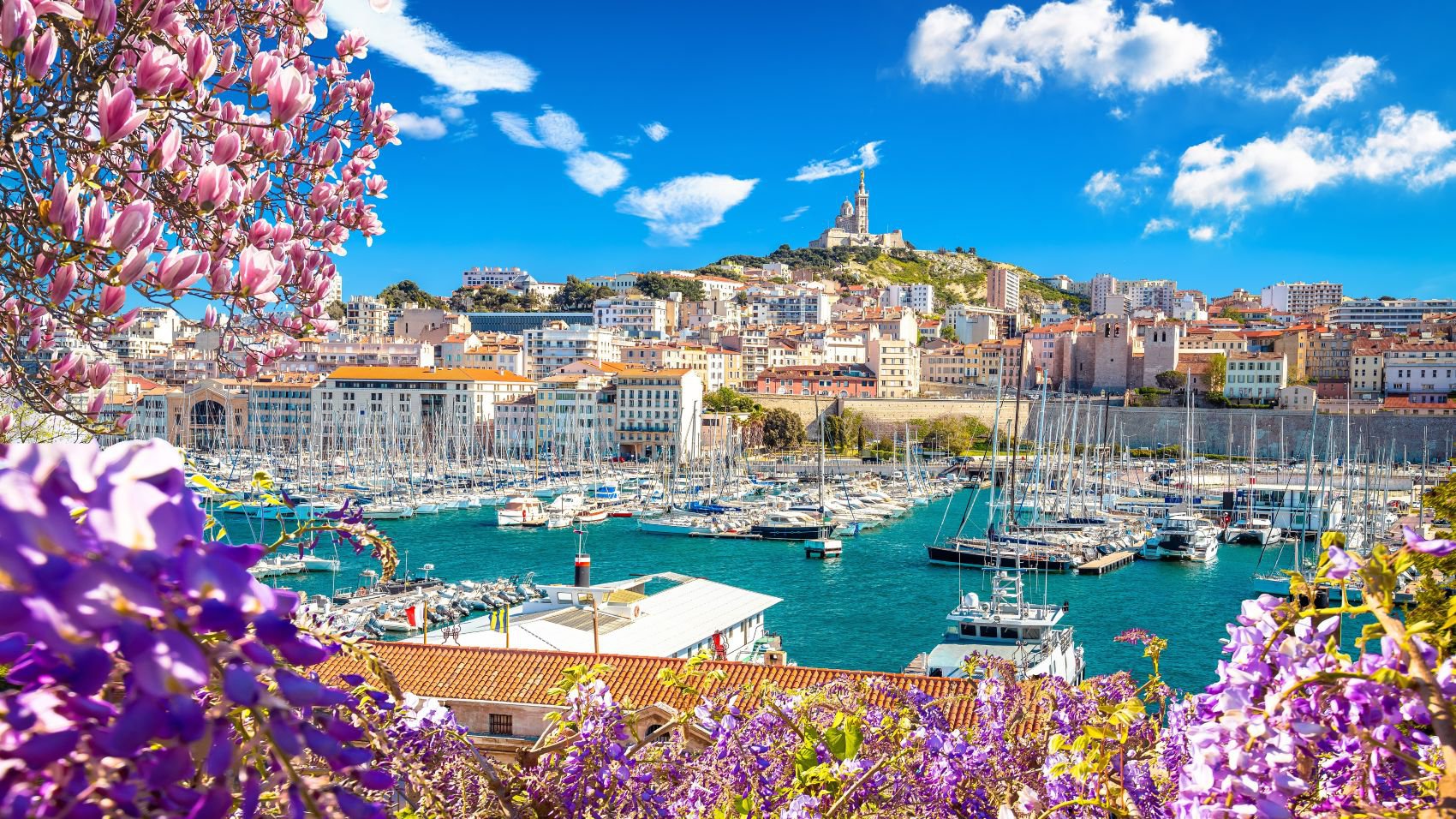 Blick auf den Hafen von Marseille mit der Kirche Notre-Dame de la Garde auf dem Hügel, umrahmt von Blumen, Südfrankreich | © Getty Images