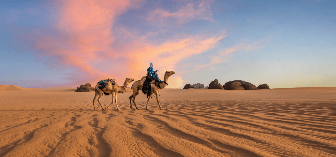 Taiba Tours 