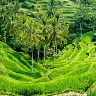 ICS Travel Group Indonesia