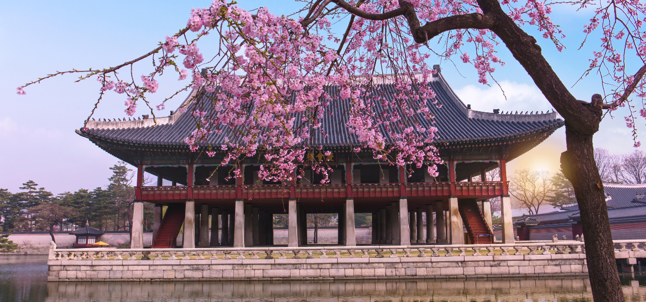 Kim’s M&T South Korea